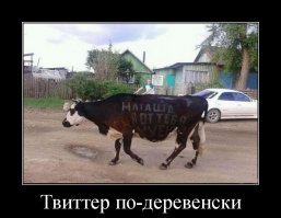 Приезжайте к нам в колхоз - куры, дуры и навоз