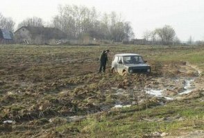 Картоху уже сажать не выгодно )))
