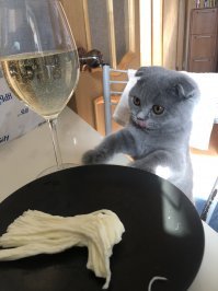 Плюс. Котейки - милашки.
И тот самый случай, когда с котом - хоть куда)))