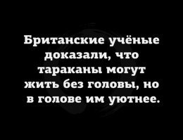 Учёному из Британии удалось расшифровать манускрипт Войнича