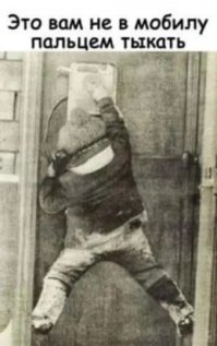 Скрины из социальных сетей