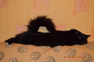 Там же, он же, спустя шесть лет.