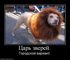 25 самых странных животных планеты