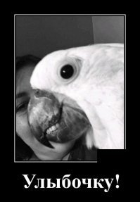 Чем богат.

.