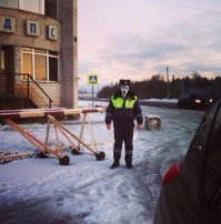 Странные и упоротые картинки