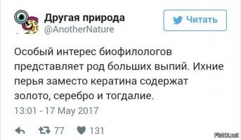 Минутка граммар-наци: 20 ошибок, которые меняют весь смысл