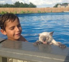 Ну, здесь дружбой и не пахнет, по крайней мере со стороны кота.
