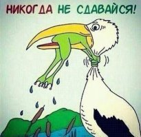 Драматическая фотоистория спасения крольчонка от вороны