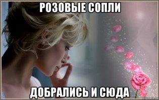 Питерская интеллигенция, фиг ли