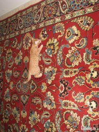 Картинки с надписями