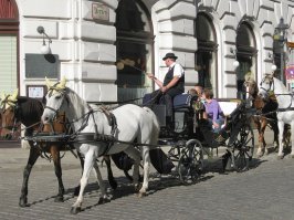 По центральным улицам Вены(Австрия) лошадки туристов катают, причем удовольствие не из дешевых...и если с какахами всё понятно(там есть что-то вроде мешка сзади), то с остальными делами...походу всё под ноги(копыта) летит...устройство, отсасывающее мочу, я не заметил...
