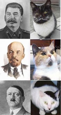 Не фотошоп, а природа: 17 питомцев с необычным окрасом
