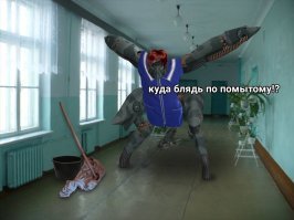 Прикольные и смешные картинки