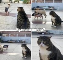 Картинки не для всех