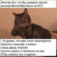 Дают дельные советы...