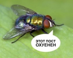 Вот зачем за границей на дверные ручки надевают силиконовые кольца