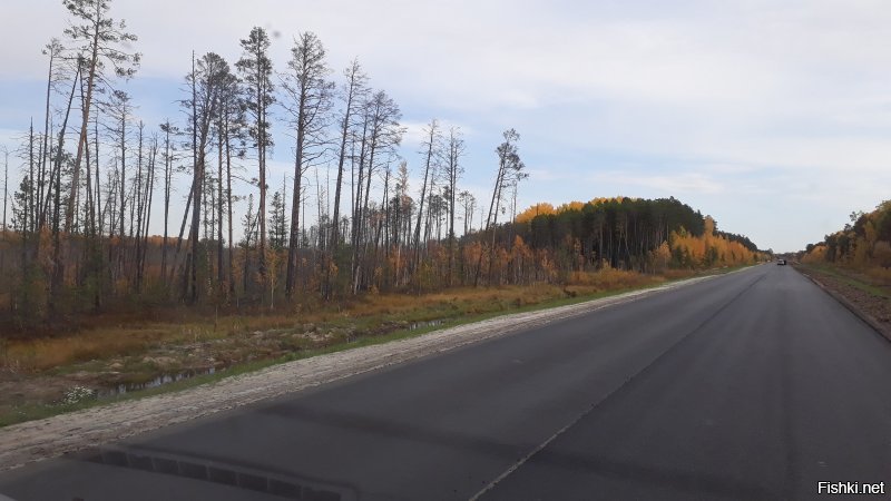Довелось из Челябинска в Нижневартовск прокатиться, красотища.