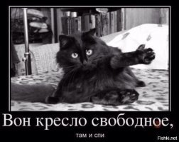 25 ситуаций, в которых кошки ведут себя как люди