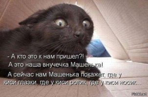 О дружбе
