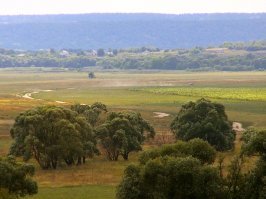 Очарование русской дороги