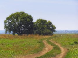 Очарование русской дороги