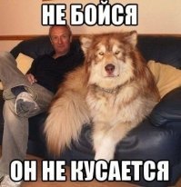 Скрины из социальных сетей