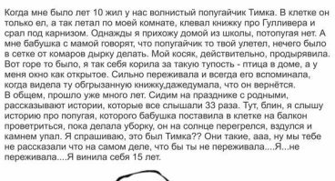 Пестрый мир попугаев