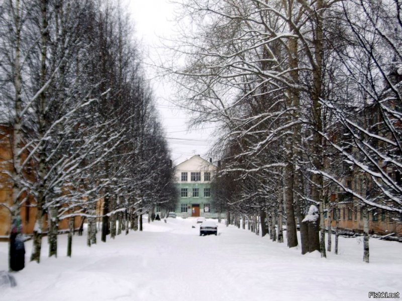 Очарование русской дороги