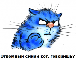 Дайвер столкнулся с 30-метровым синим китом