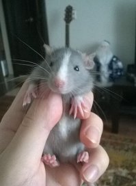 мой малёк