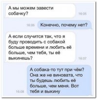 Это Кальмар - пёс, которого, казалось бы, можно встретить только в мультиках