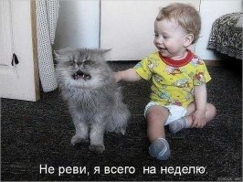 О дружбе