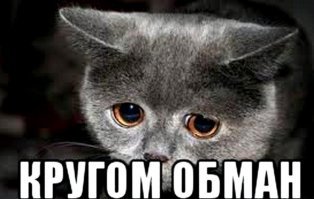 Обман, обман, кругом обман: 20 доказательств того, что на каждом шагу нас пытаются обдурить