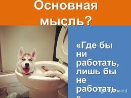 Подборка прикольных фото и смешных картинок
