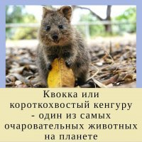 Подборка прикольных фото и смешных картинок