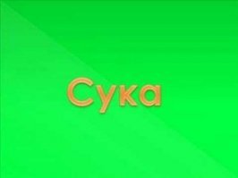 Типичная собака модератора развлекательного сайта