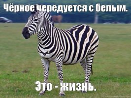 Картинки не для всех