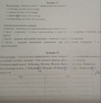 Переходной экзамен по русскому языку (вчера дочка решала) в обычной школе в Саратове за 3 класс. Сможете решить задание 12 и 13?