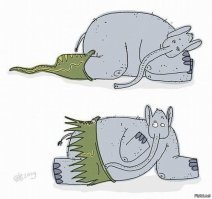 Стадо слонов смогло защитить своего юного сородича от группы голодных львов