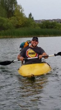 Пестрый мир попугаев