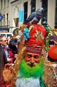 Пестрый мир попугаев