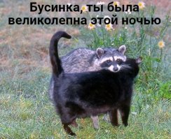 Ага, а завтра такая картинка :))