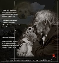 Может немножко "сопливо"... Но, тот, у кого есть собака, меня поймёт...