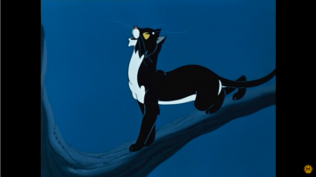 Потому, что "Кот - гуляет сам по себе и ходит, где вздумается!"