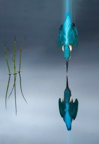 Скрины из социальных сетей