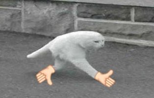 Свиная отбивная в чесночном маринаде