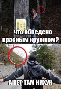 15 смекалистых гениев из народа, сообразительности которых можно только позавидовать