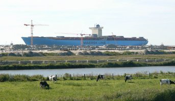 Впрочем как и этот.