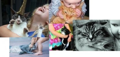 Тока не все усатые шибко довольны этой дружбой!