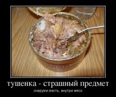 Российских военнослужащих перестали кормить тушёнкой